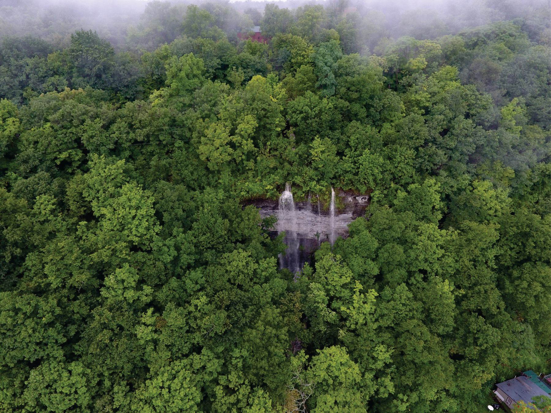 39245857_1876686605747905_4484094926748909568_o