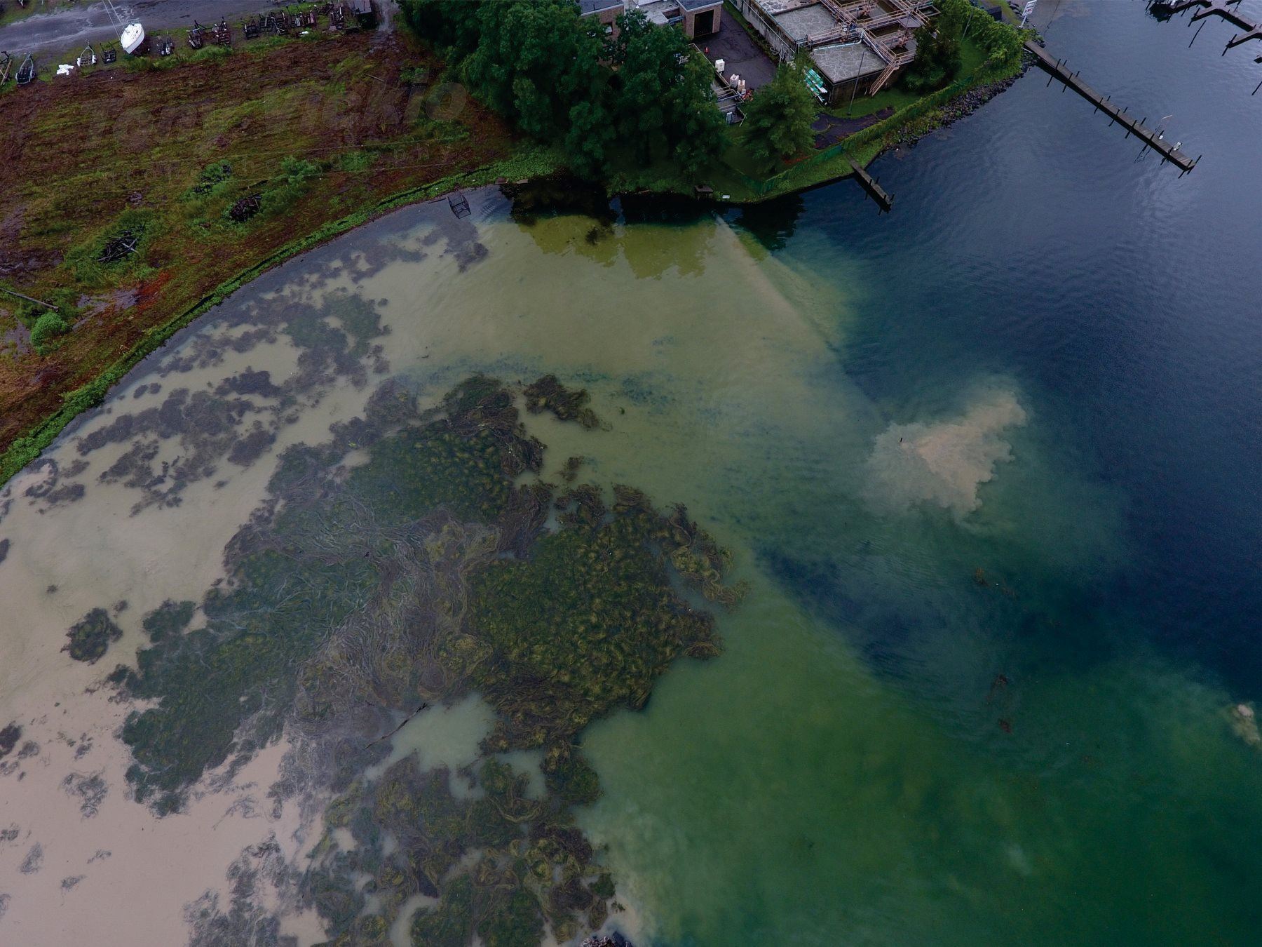 39274662_1876687005747865_2462163957473869824_o